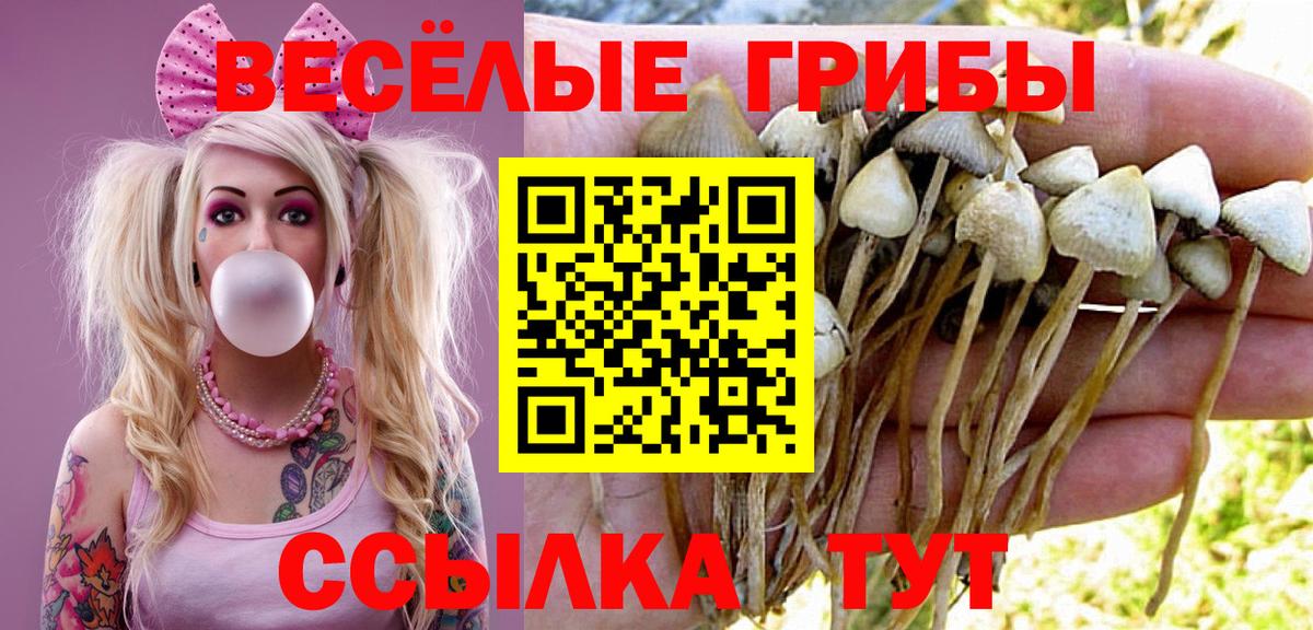 Галлюциногенные грибы мухоморы  Псилоцибиновые грибы прущие грибы  Вход с VPN  Коркино 